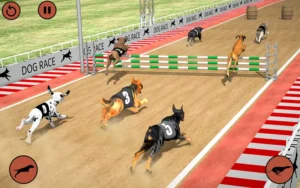 Hướng Dẫn Chơi Game Nhanh Đua Chó Tại 789WIN Một Cách Hiệu Quả