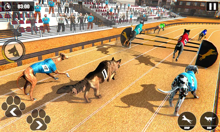 Hướng Dẫn Chơi Game Nhanh Đua Chó Tại 789WIN Một Cách Hiệu Quả 2 Hướng Dẫn Chơi Game Nhanh Đua Chó Tại 789WIN Một Cách Hiệu Quả